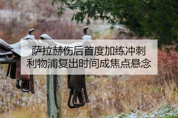 萨拉赫伤后首度加练冲刺 利物浦复出时间成焦点悬念